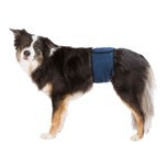 FASCIA IGIENICA per CANI MASCHI,TG.S