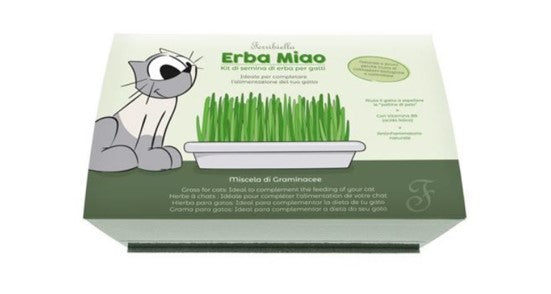 ERBA GATTA