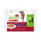MULTIPAK ADULT CON MANZO 85G X 4