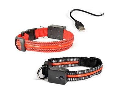 CAMON COLLARE LUMINOSO E LAMPEGGIANTE