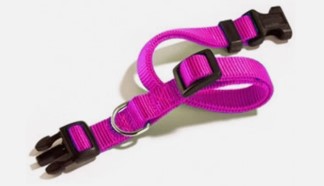 CAMON COLLARE FUCSIA 53CCM