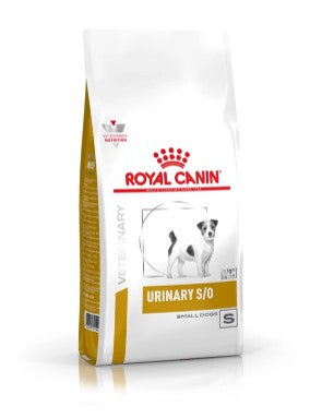 CHIHUAHUA PUPPY 500G