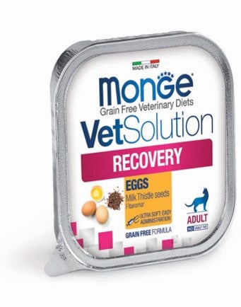 FELINE RECOVERY g.100