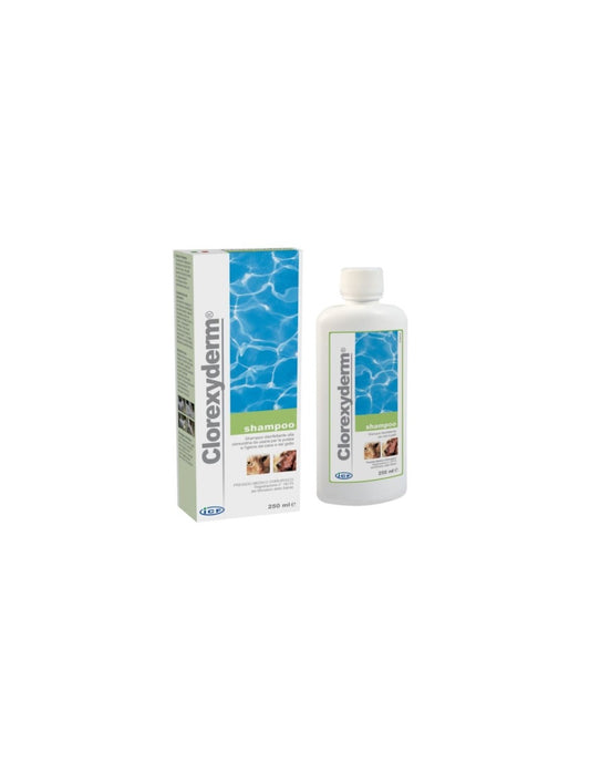 ICF CLOREXYDERM SHAMPOO ml 250