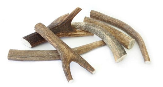 CORNA CERVO MEDIUM 50-75GR