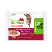 MULTIPAK ADULT CON SALMONE  85G X 4