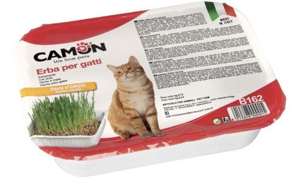 ERBA GATTO