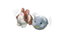 CAMON GIOCO PER GATTI