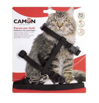 parure (guin. +pet)  big cat