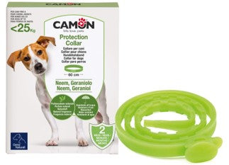 collare protection cane