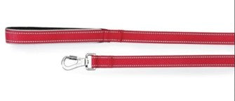 CAMON GUINZAGLIO FODERATO SINTETICO  20X1200MM