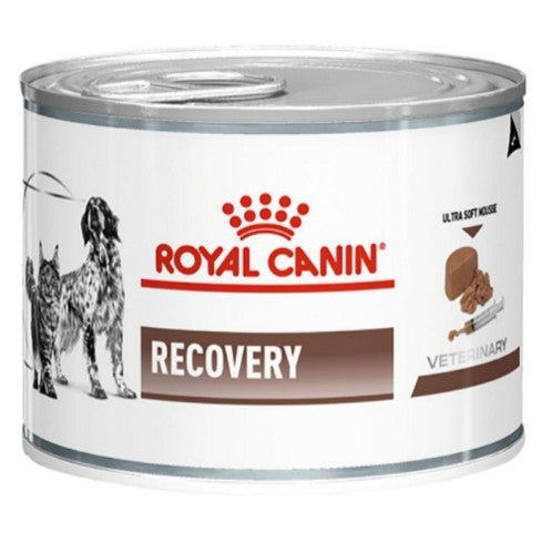royal canin recovery in latta da g. 195