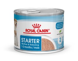 royal canin starter mousse in lattina da g.195