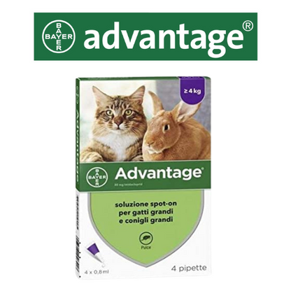 ADVANTAGE PIPETTE ANTIPARASSITARIE