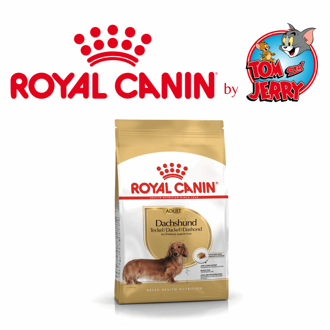 ROYAL CANIN SPECIFICO RAZZE CROCCANTINI CANE 1,5 KG - Tom & Jerry
