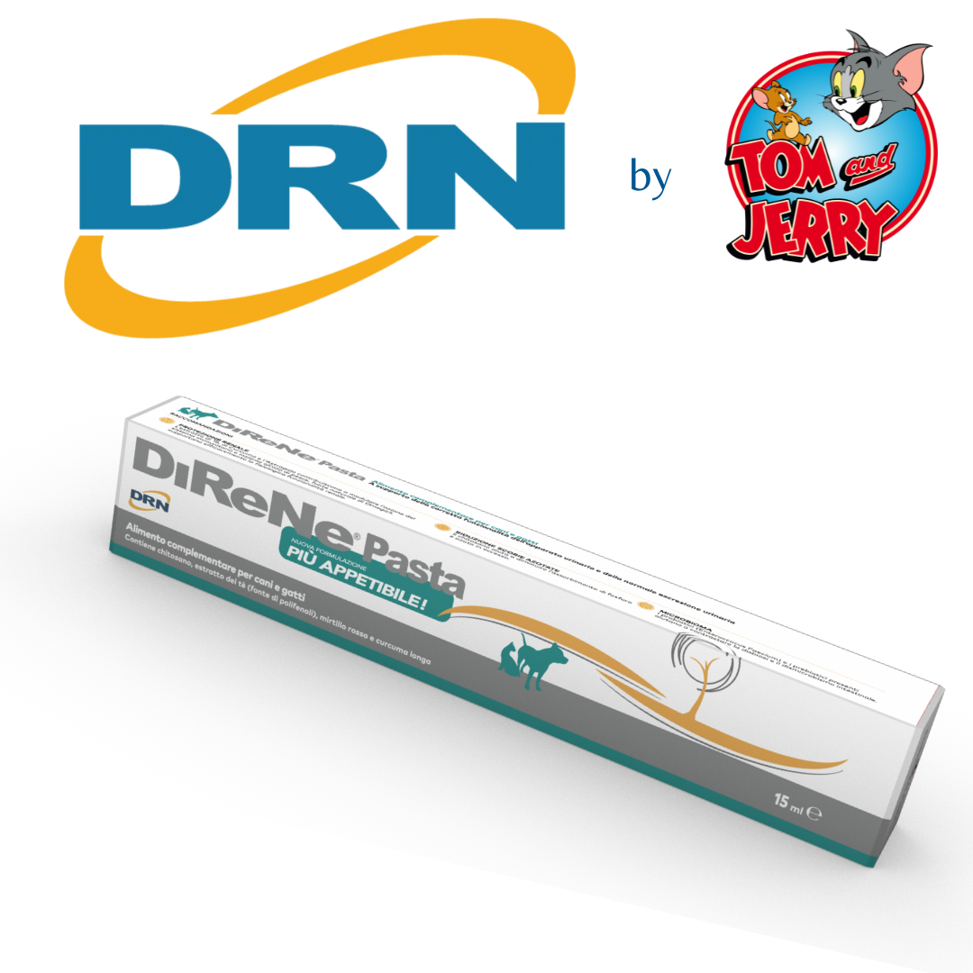 DIRENE PASTA DRN