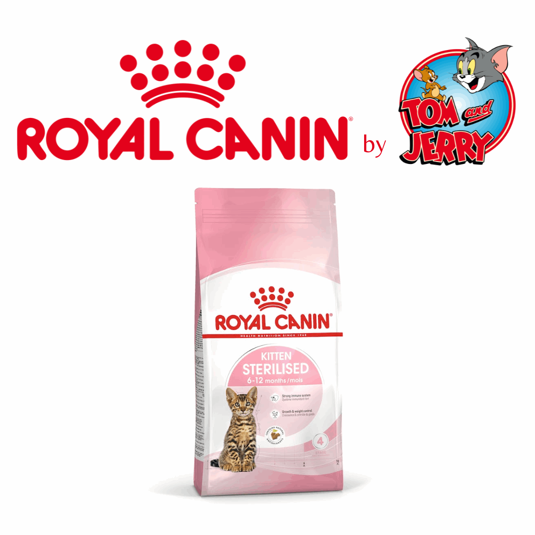 ROYAL CANIN CROCCANTINI KITTEN GATTO - Tom & Jerry