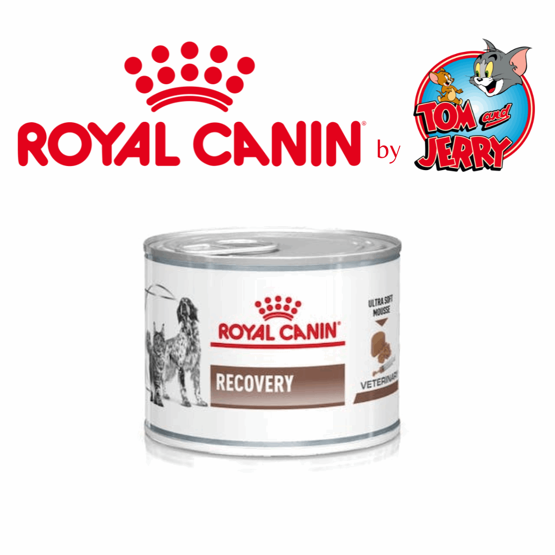 ROYAL CANIN DIETE UMIDO CANE - Tom & Jerry