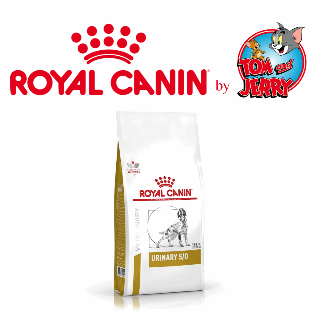 ROYAL CANIN CROCCANTINI DIETA URINARY CANE - Tom & Jerry