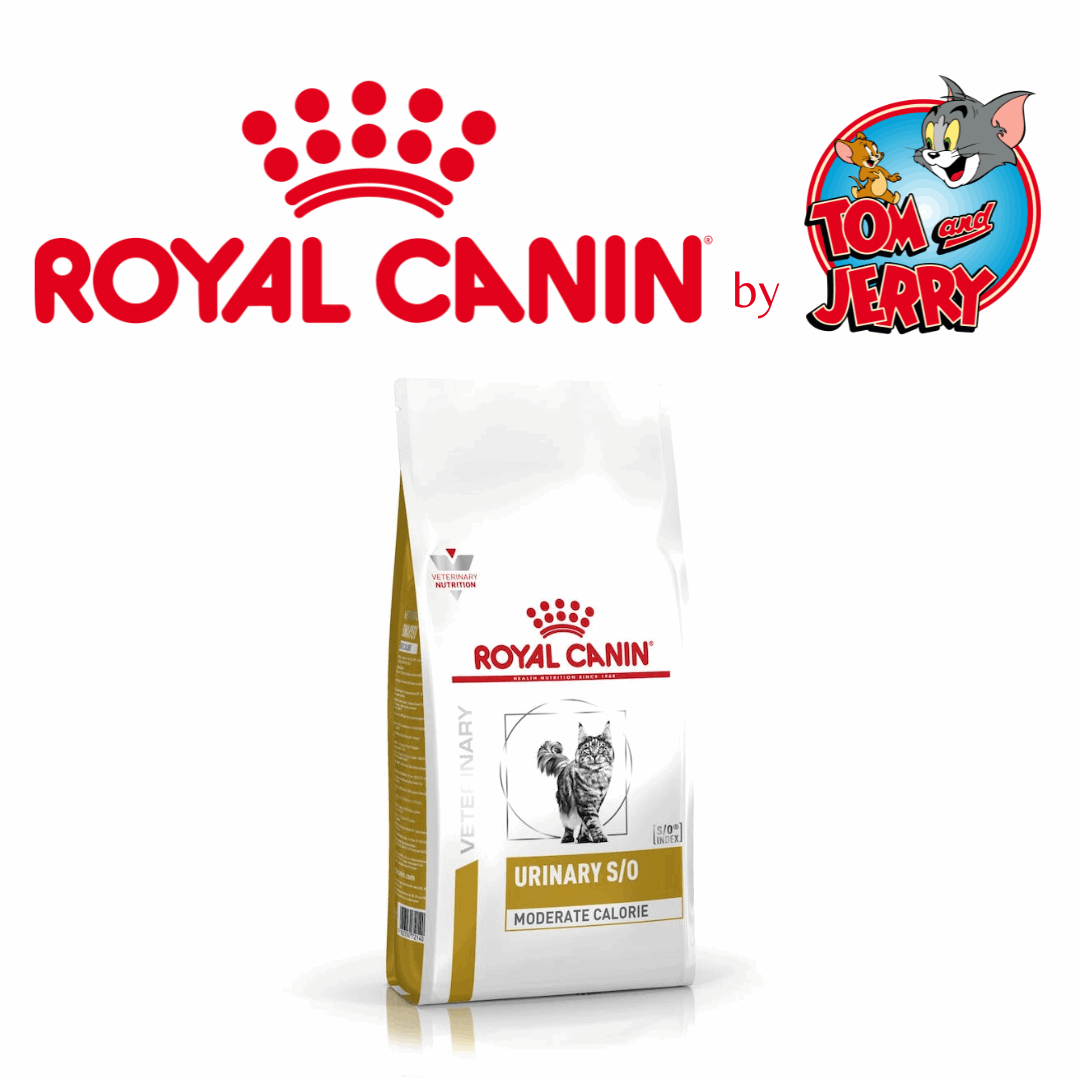ROYAL CANIN CROCCANTINI DIETA URINARY GATTO - Tom & Jerry