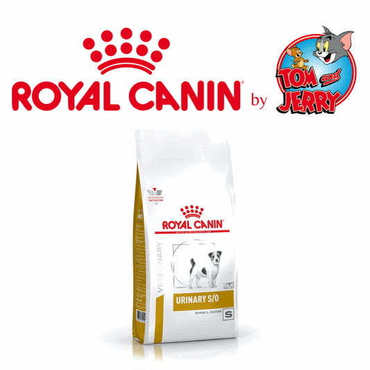 ROYAL CANIN CROCCANTINI DIETA URINARY CANE - Tom & Jerry